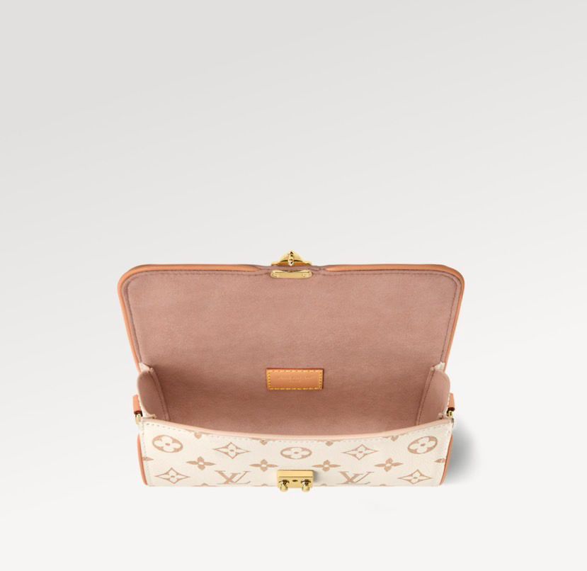 Louis Vuitton Pochette Camille