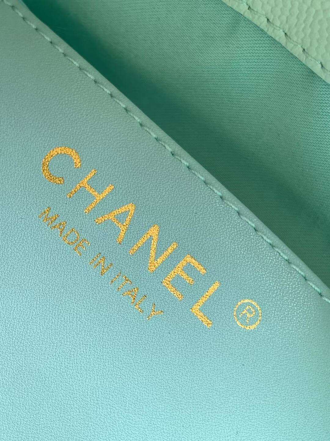 Bolsa Hobo  Chanel 25 Handbag