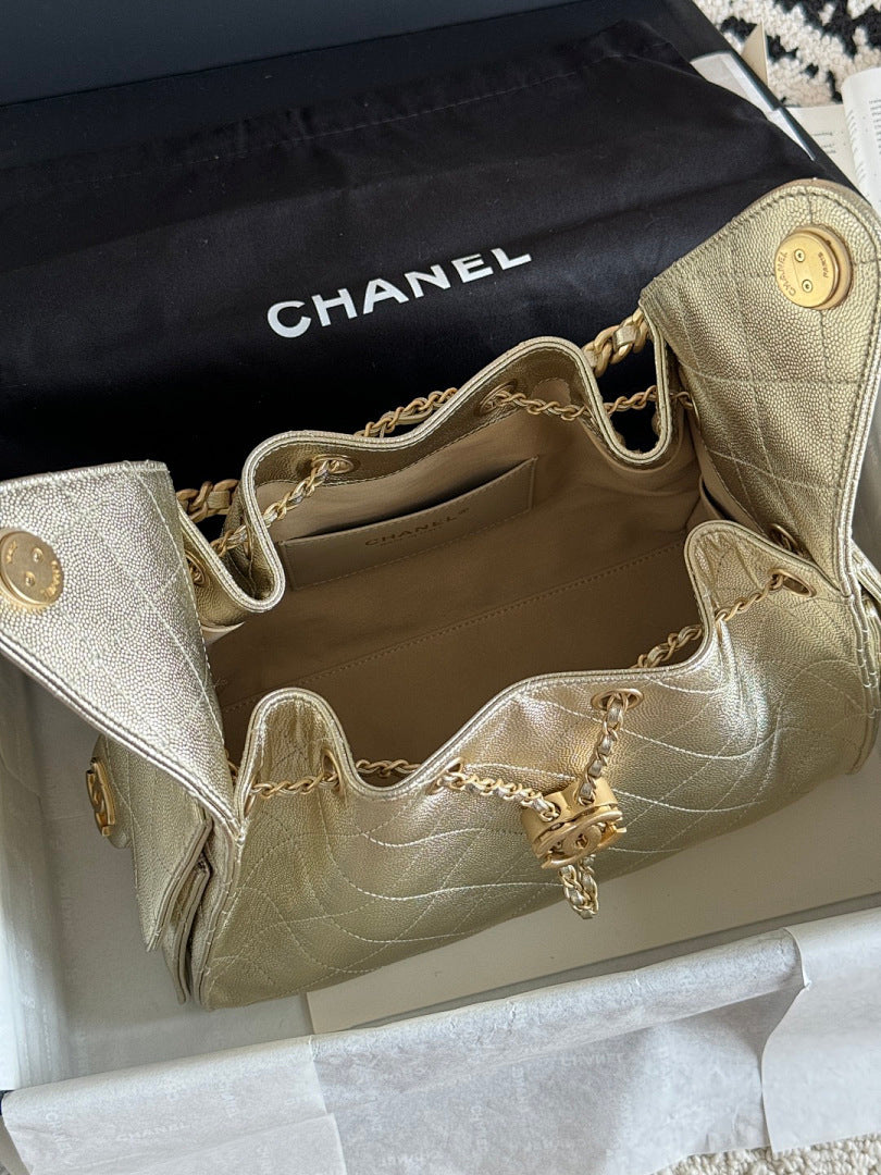 Bolsa Hobo  Chanel 25 Metalica