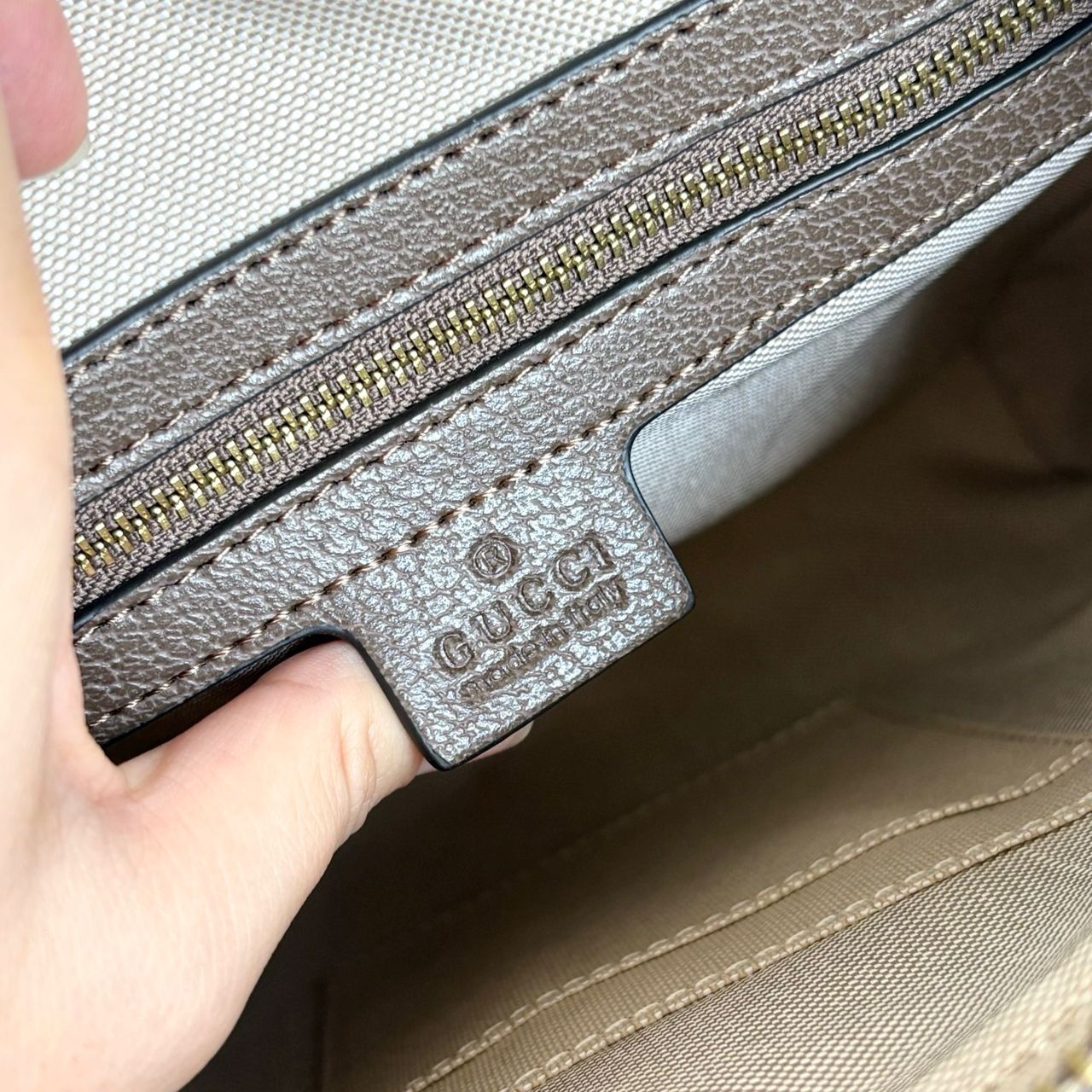 Gucci GG Supreme Small Ophidia